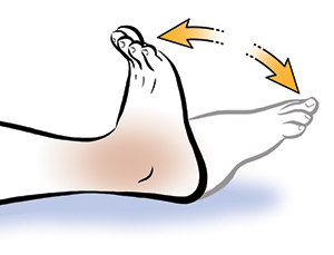 Pierna desde la rodilla hacia bajo que muestra movimientos de tobillo.